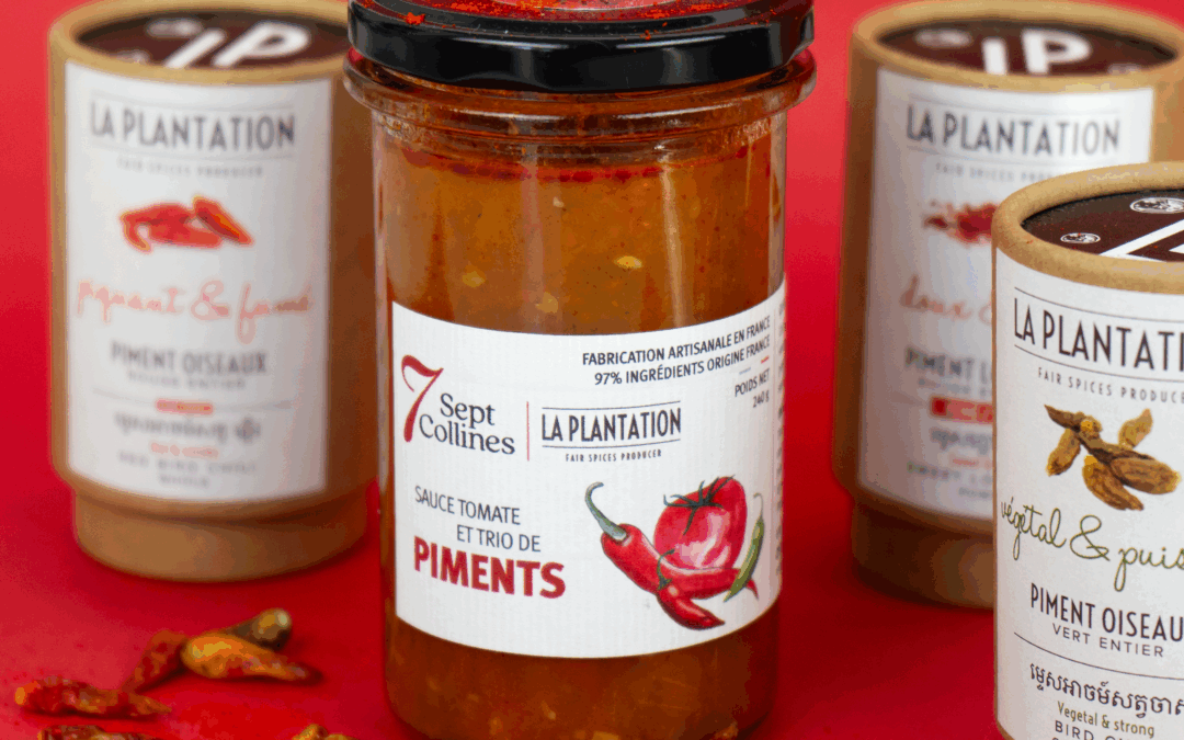 Sauce Tomate et Trio de Piments