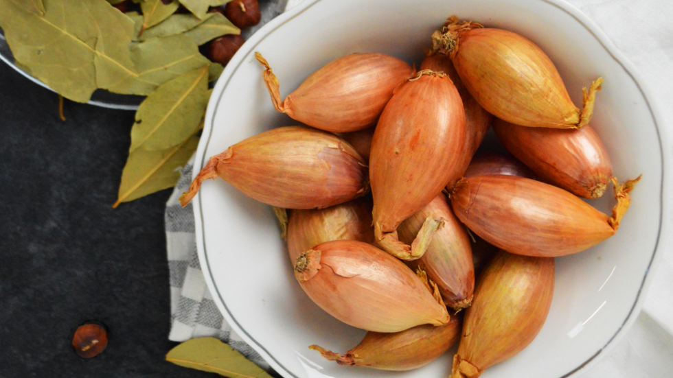C'est de saison L'Echalote Sept Collines